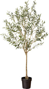 شجرة الزيتون الصناعية، طبق الأصلية